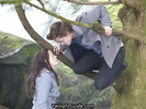 edward-tree-bella