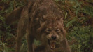 new-moon-movie-pictures-564