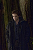 new-moon-movie-pictures-700