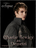 charlie-demetri-graphic