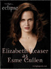elizabeth-esme-graphic