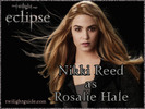 nikki-rosalie-graphic