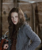 bella-jacket-eclipse
