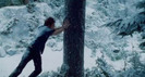edward-pushing-tree