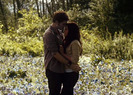 in-field-bella-edward
