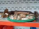 DSC00088