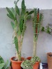 DSC00089