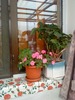 DSC00090