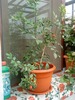 DSC00091