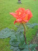 DSC06120