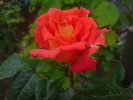 DSC06121