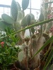 DSC00095