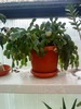 DSC00097