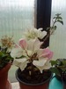 DSC00102