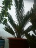 DSC00103