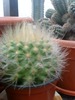 DSC00108