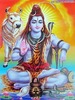 shiva2_tm