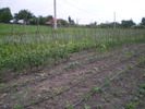 d120610 011
