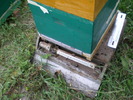 d120610 027