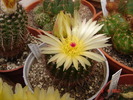 DSC08561