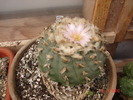 DSC08563