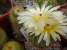 DSC08568