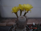 DSC08570