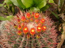 DSC08571