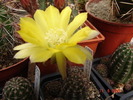 DSC08581