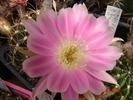 DSC08584