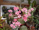 DSC08589