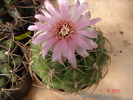 DSC08596