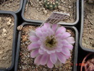DSC08600