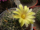DSC08601