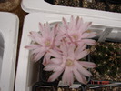 DSC08602