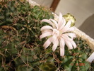DSC08605