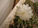 DSC08606