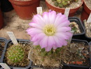 DSC08607