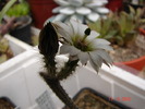 DSC08609