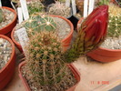 DSC08611