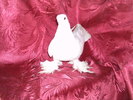 PIC_0057
