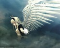 13144784_RPCCQKFMD[2]