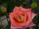 P1020447