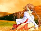 Autumn_Dream[1]