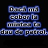 Avatare (21)