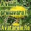Avatare (57)