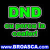 Avatare (88)