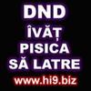 Avatare (127)