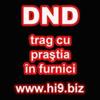 Avatare (133)