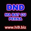 Avatare (135)